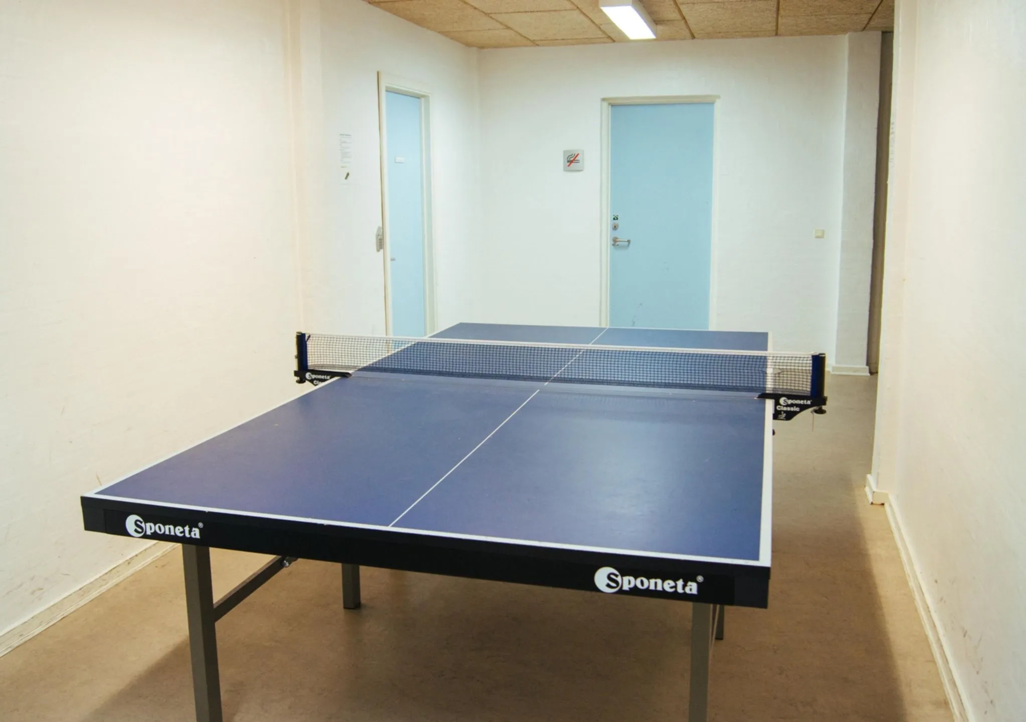 Table Tennis in the basement